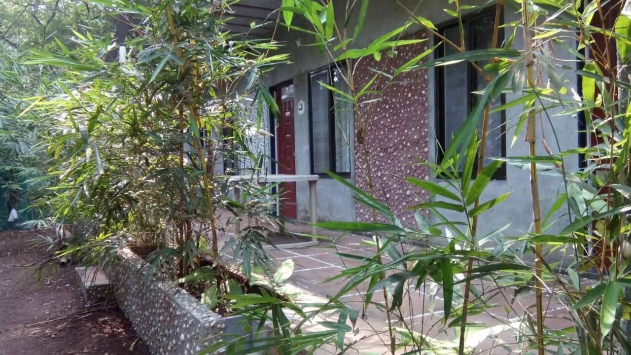 Samartha Cottage, Varsoli Алибаг Екстериор снимка
